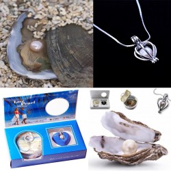Toptan İstiridye İçinde İnci Kolye Seti Toptan İstiridye İçinde İnci Kolye Seti