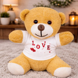 Toptan Tişörtlü Sevimli Oyuncak Ayı Toptan Tişörtlü Sevimli Oyuncak Ayı